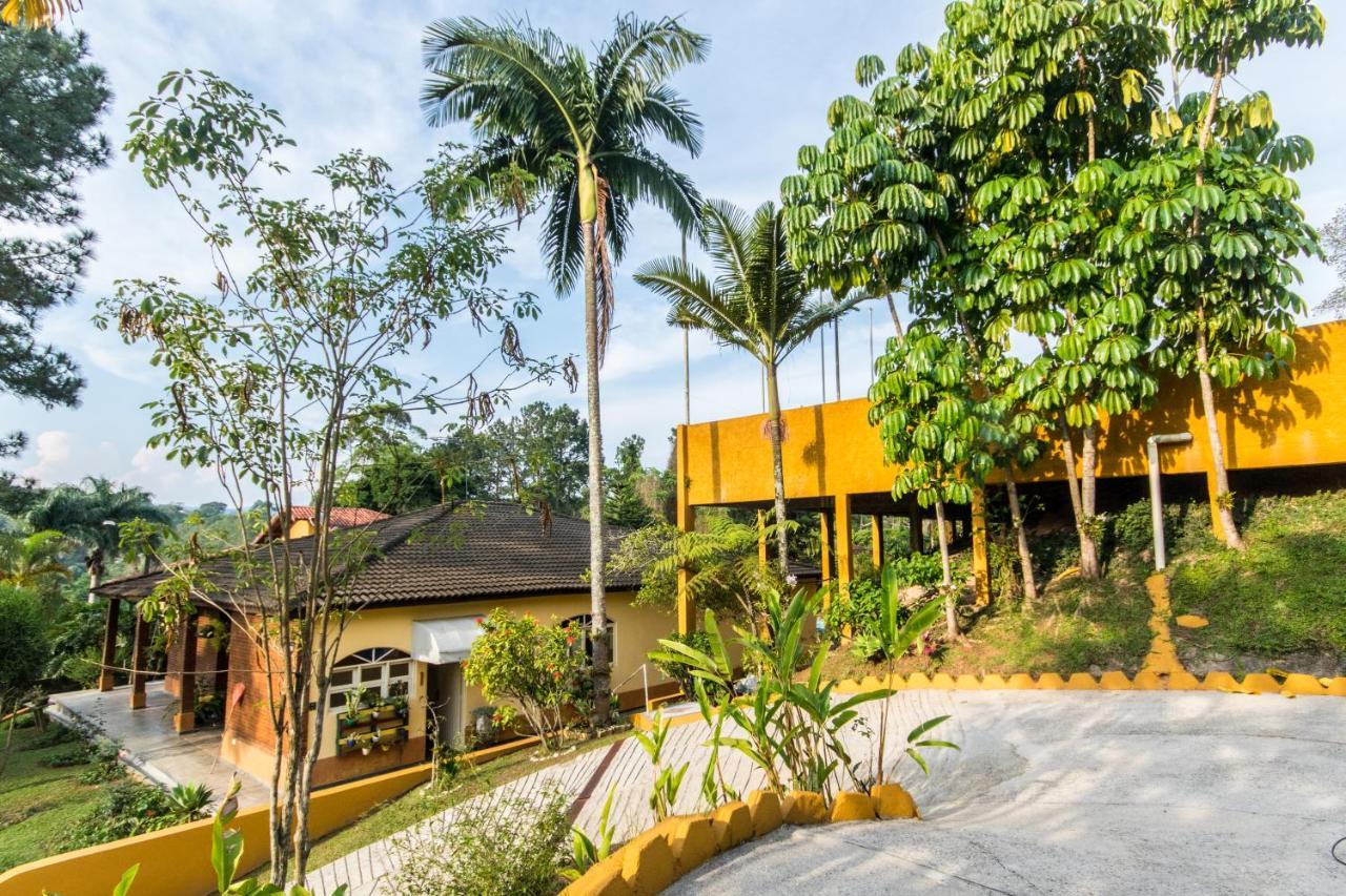 Villa Bem Querer - Suite Mairiporã Kültér fotó
